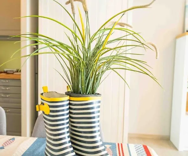 The House Appartement *